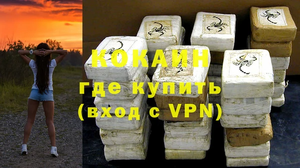 a pvp Болотное