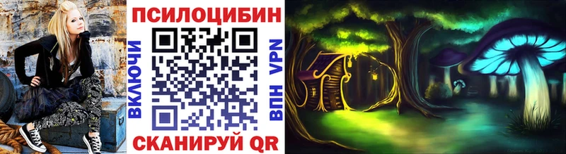 Псилоцибиновые грибы Cubensis  Арск 